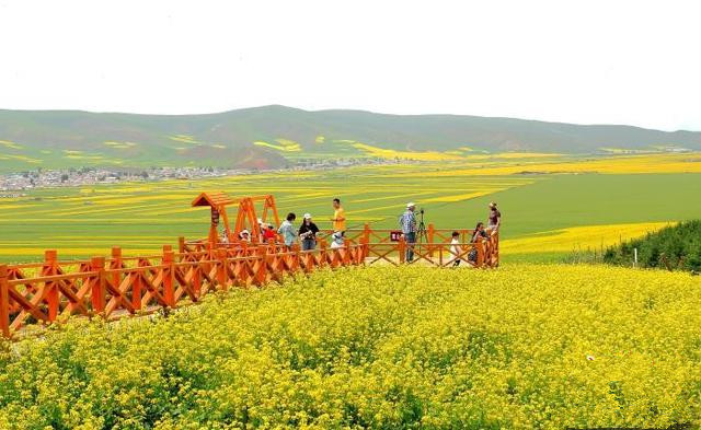 青島推動文旅項目多領(lǐng)域、多業(yè)態(tài)、多層次發(fā)展