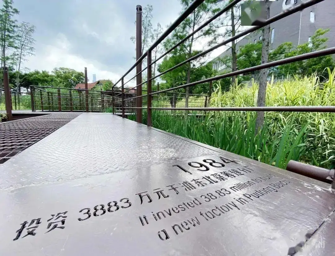 5.5公里楊浦濱江岸線(xiàn)，楊樹(shù)浦路變身“露天博物館”