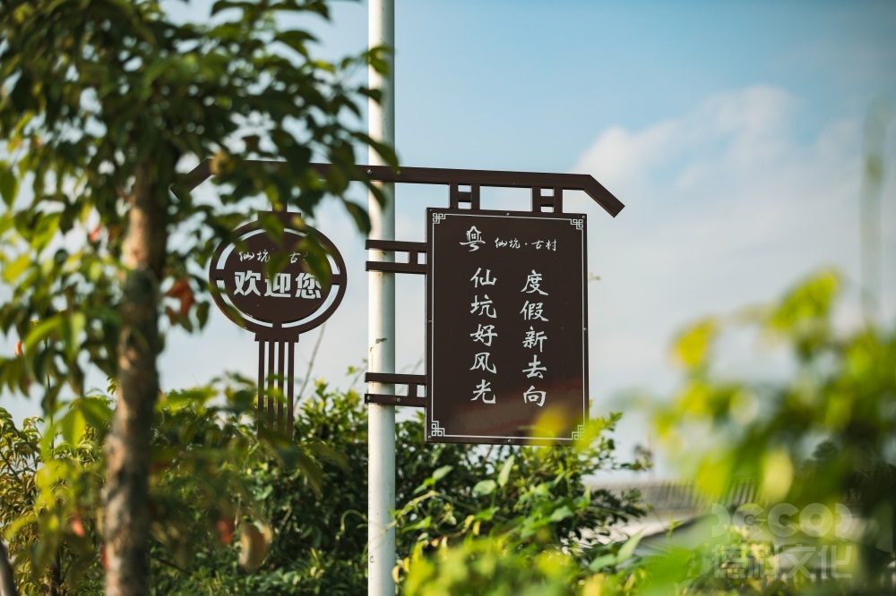 鄉(xiāng)村文旅設(shè)計如何結(jié)合鄉(xiāng)村音樂會和藝術(shù)展覽？